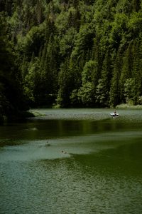 pexels-marek-mucha-13339565